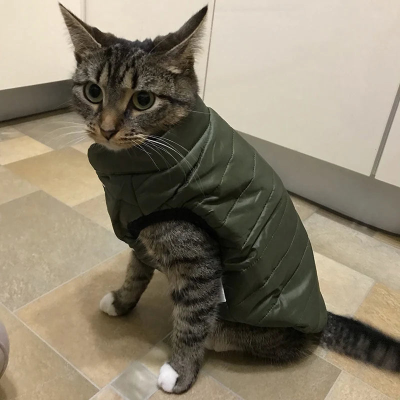 Jachetă de iarnă pentru animale de companie, jachetă de pluș rezistentă la vânt