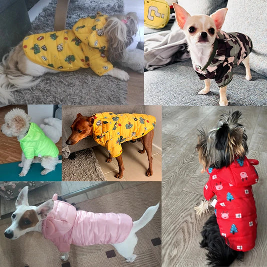 Jachetă de iarnă pentru animale de companie, jachetă de pluș rezistentă la vânt